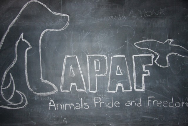 APAF Put Your Paws Up